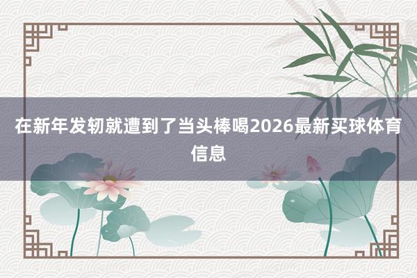 在新年发轫就遭到了当头棒喝2026最新买球体育信息