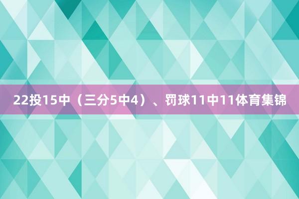 22投15中（三分5中4）、罚球11中11体育集锦