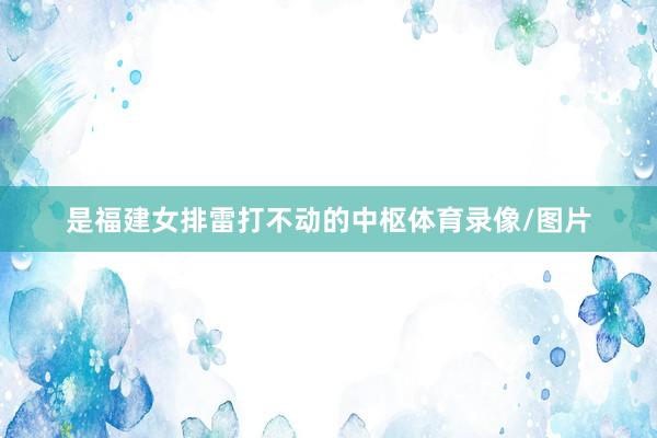 是福建女排雷打不动的中枢体育录像/图片