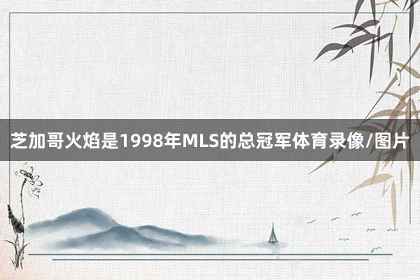 芝加哥火焰是1998年MLS的总冠军体育录像/图片