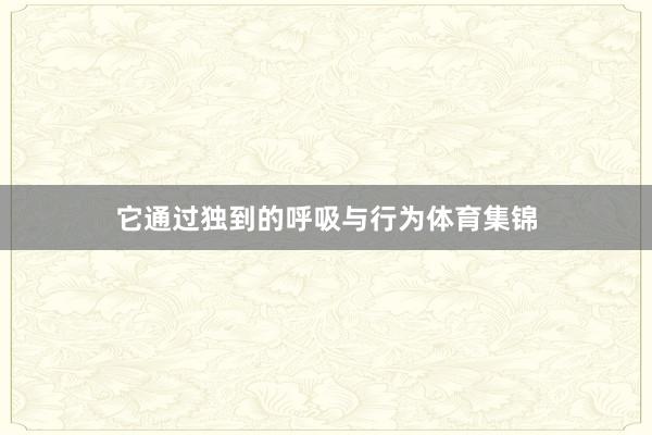 它通过独到的呼吸与行为体育集锦