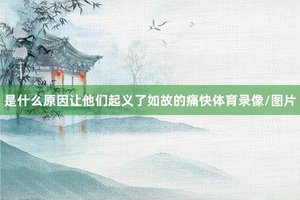 是什么原因让他们起义了如故的痛快体育录像/图片