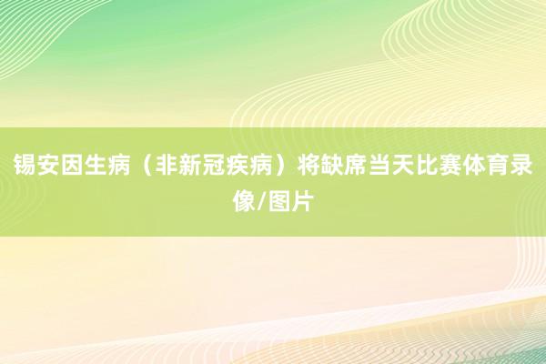 锡安因生病（非新冠疾病）将缺席当天比赛体育录像/图片
