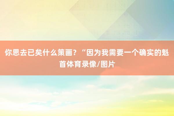 你思去已矣什么策画？“因为我需要一个确实的魁首体育录像/图片