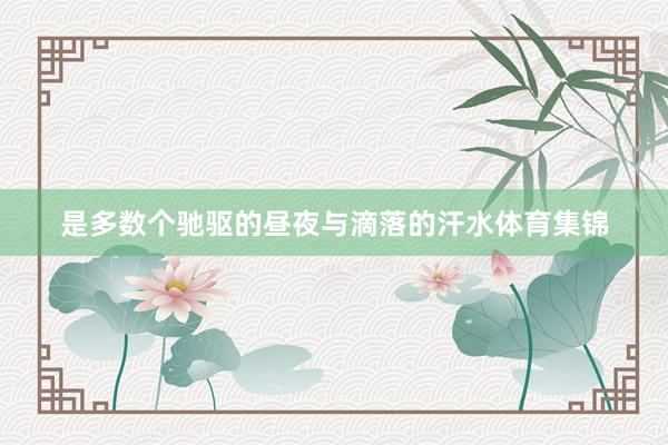 是多数个驰驱的昼夜与滴落的汗水体育集锦