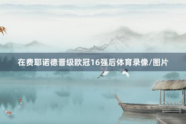 在费耶诺德晋级欧冠16强后体育录像/图片