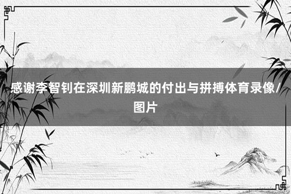感谢李智钊在深圳新鹏城的付出与拼搏体育录像/图片