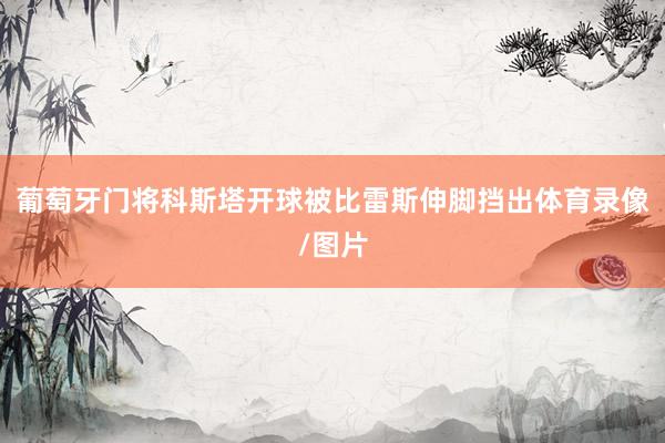 葡萄牙门将科斯塔开球被比雷斯伸脚挡出体育录像/图片