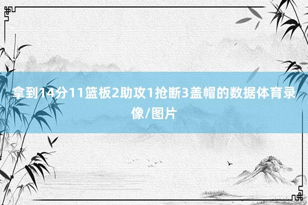 拿到14分11篮板2助攻1抢断3盖帽的数据体育录像/图片