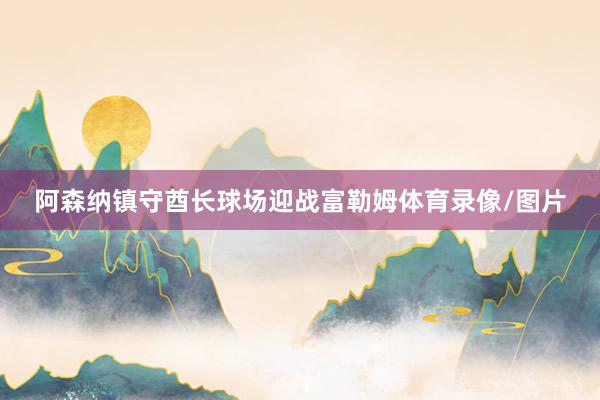 阿森纳镇守酋长球场迎战富勒姆体育录像/图片