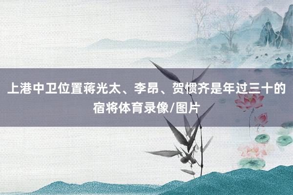 上港中卫位置蒋光太、李昂、贺惯齐是年过三十的宿将体育录像/图片
