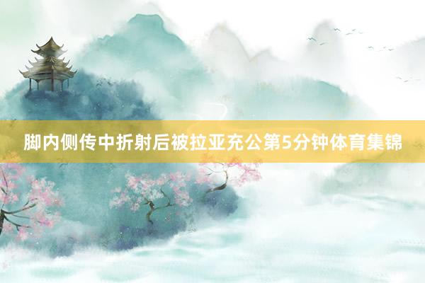 脚内侧传中折射后被拉亚充公第5分钟体育集锦