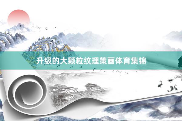 升级的大颗粒纹理策画体育集锦