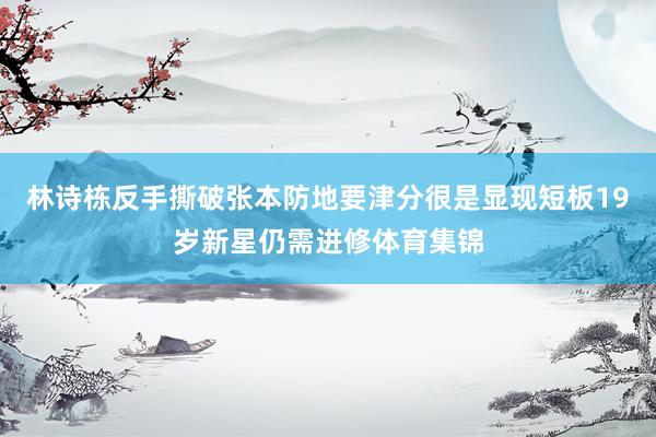 林诗栋反手撕破张本防地要津分很是显现短板19岁新星仍需进修体育集锦