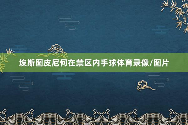 埃斯图皮尼何在禁区内手球体育录像/图片