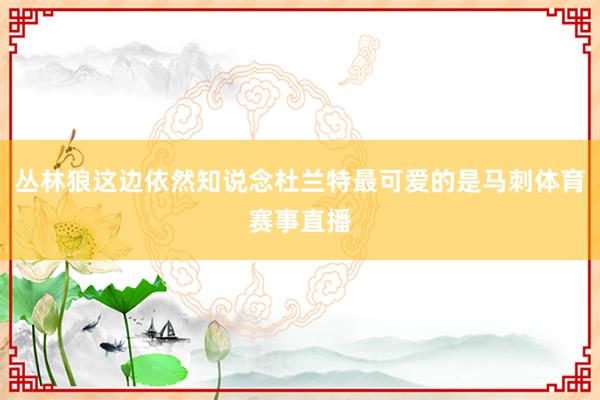 丛林狼这边依然知说念杜兰特最可爱的是马刺体育赛事直播
