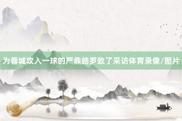 为蓉城攻入一球的严鼎皓罗致了采访体育录像/图片