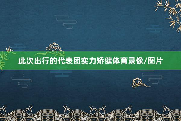 此次出行的代表团实力矫健体育录像/图片