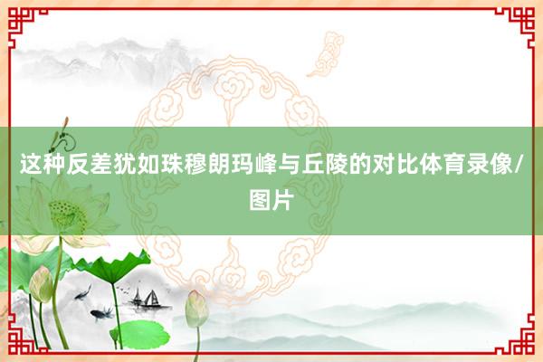 这种反差犹如珠穆朗玛峰与丘陵的对比体育录像/图片