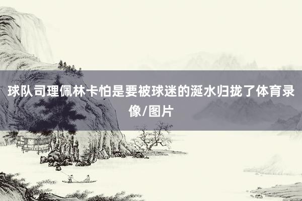 球队司理佩林卡怕是要被球迷的涎水归拢了体育录像/图片