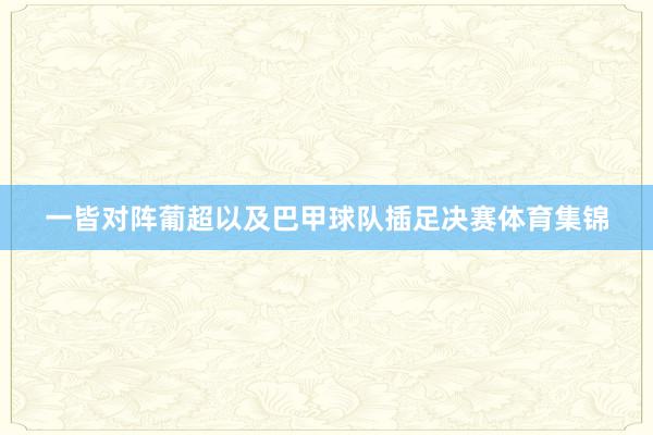 一皆对阵葡超以及巴甲球队插足决赛体育集锦