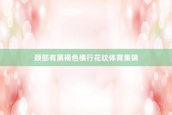 颈部有黑褐色横行花纹体育集锦