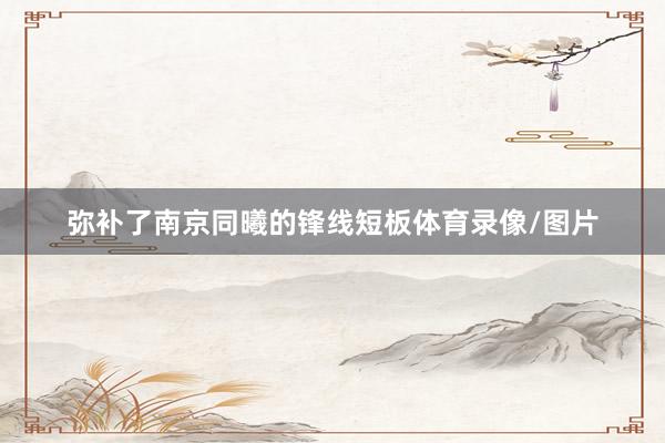 弥补了南京同曦的锋线短板体育录像/图片