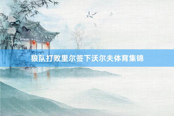 狼队打败里尔签下沃尔夫体育集锦