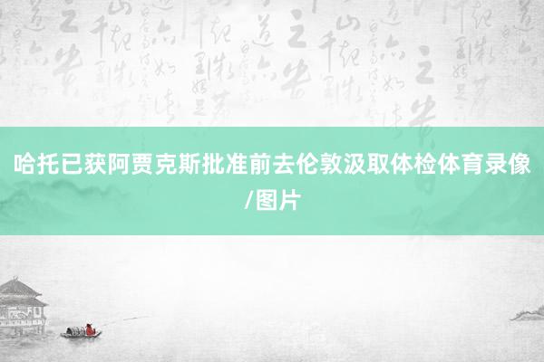 哈托已获阿贾克斯批准前去伦敦汲取体检体育录像/图片