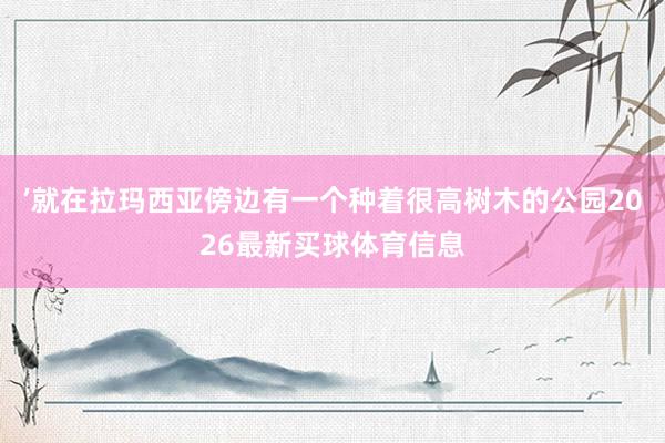 ’就在拉玛西亚傍边有一个种着很高树木的公园2026最新买球体育信息