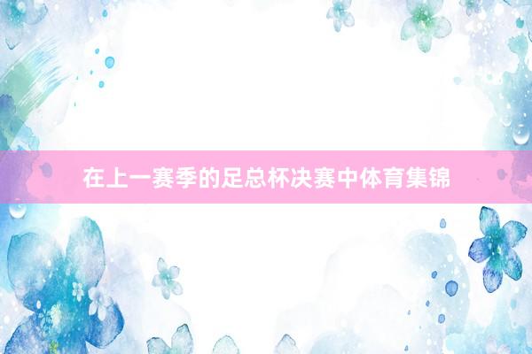 在上一赛季的足总杯决赛中体育集锦