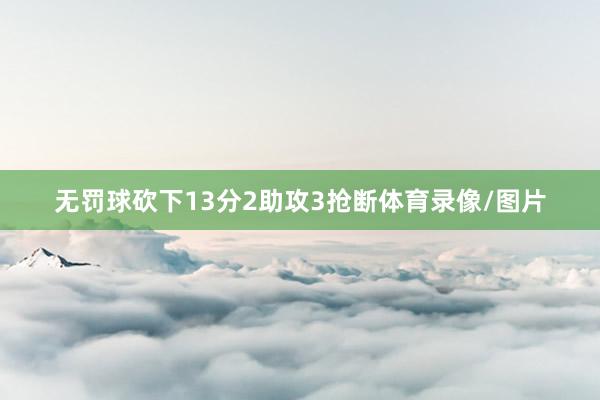 无罚球砍下13分2助攻3抢断体育录像/图片