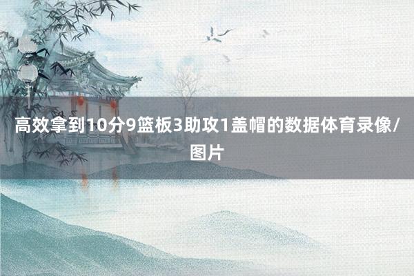高效拿到10分9篮板3助攻1盖帽的数据体育录像/图片