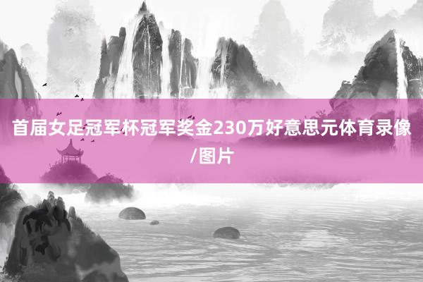 首届女足冠军杯冠军奖金230万好意思元体育录像/图片