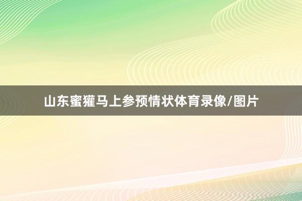 山东蜜獾马上参预情状体育录像/图片