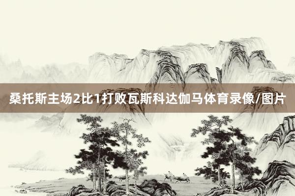 桑托斯主场2比1打败瓦斯科达伽马体育录像/图片