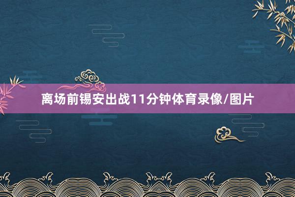 离场前锡安出战11分钟体育录像/图片