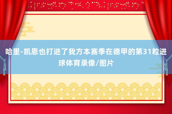 哈里-凯恩也打进了我方本赛季在德甲的第31粒进球体育录像/图片