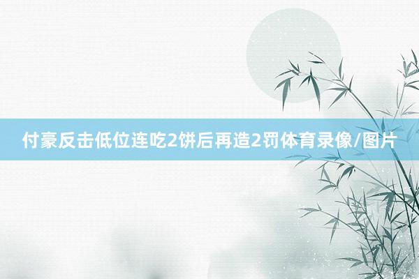 付豪反击低位连吃2饼后再造2罚体育录像/图片