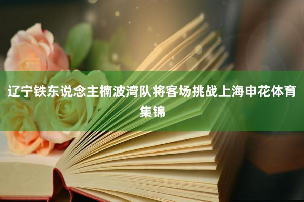 辽宁铁东说念主楠波湾队将客场挑战上海申花体育集锦