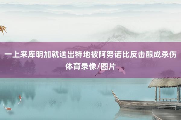 一上来库明加就送出特地被阿努诺比反击酿成杀伤体育录像/图片