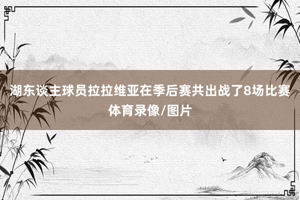 湖东谈主球员拉拉维亚在季后赛共出战了8场比赛体育录像/图片