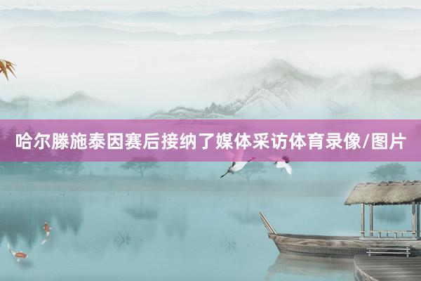 哈尔滕施泰因赛后接纳了媒体采访体育录像/图片