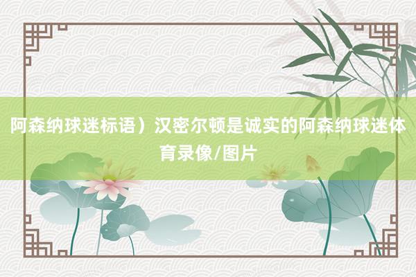 阿森纳球迷标语)汉密尔顿是诚实的阿森纳球迷体育录像/图片