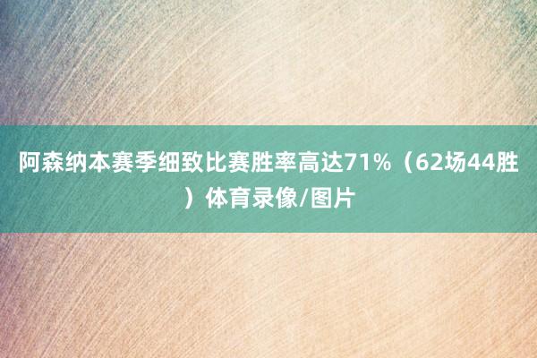 阿森纳本赛季细致比赛胜率高达71%（62场44胜）体育录像/图片