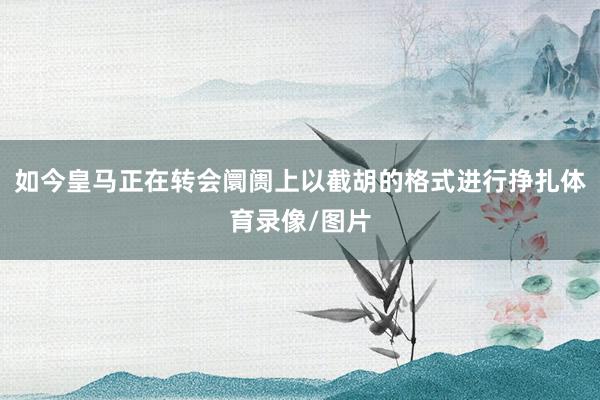 如今皇马正在转会阛阓上以截胡的格式进行挣扎体育录像/图片