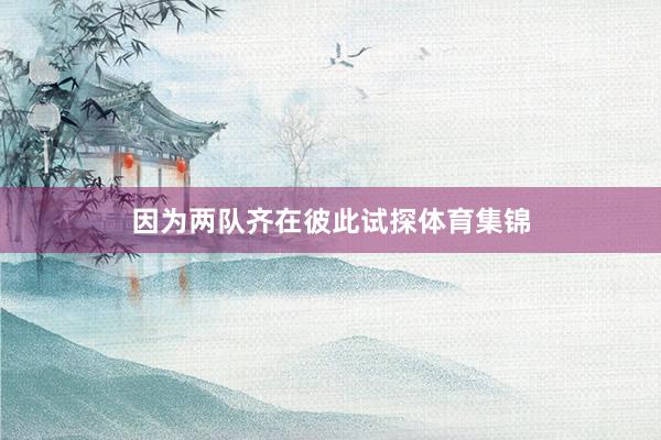 因为两队齐在彼此试探体育集锦