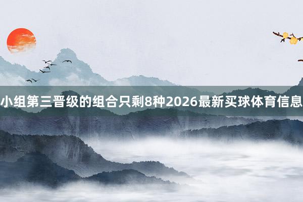 小组第三晋级的组合只剩8种2026最新买球体育信息
