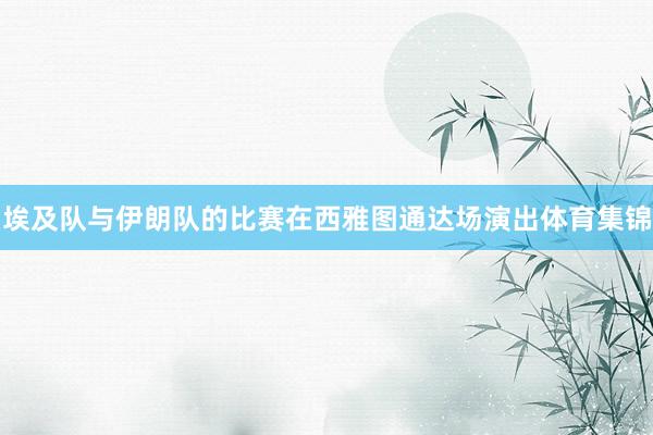 埃及队与伊朗队的比赛在西雅图通达场演出体育集锦